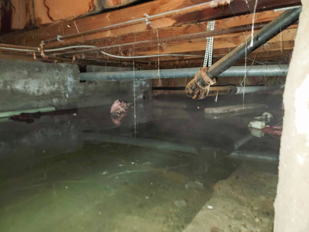 Reliable CA Water damage restoration Solutions