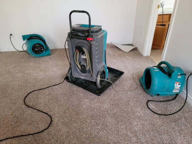 Best Water damage restoration process  in Harbison Nyon, CA