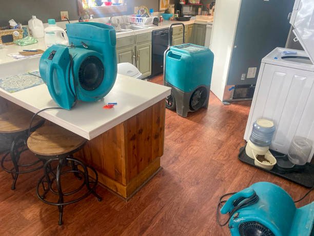 Best Water damage restoration experts  in Harbison Nyon, CA