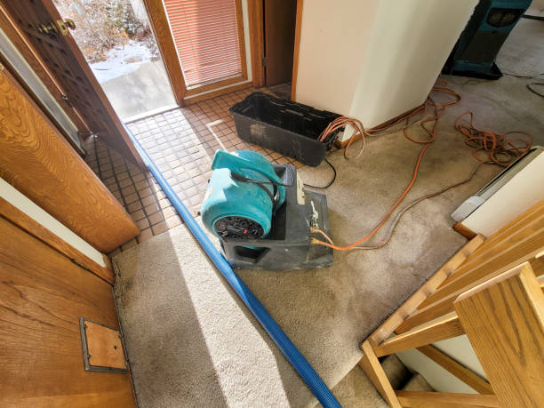 Best Carpet water damage restoration  in Harbison Nyon, CA