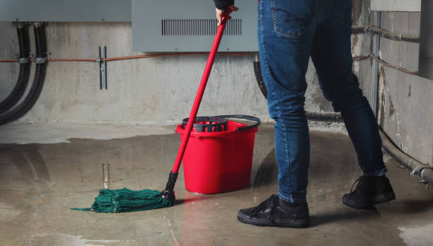 Best Commercial water damage restoration  in Harbison Nyon, CA