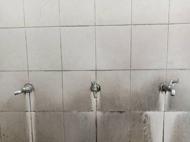 Best Water damage restoration near me  in Harbison Nyon, CA