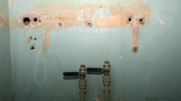 Best Sewage cleanup and water damage restoration  in Harbison Nyon, CA