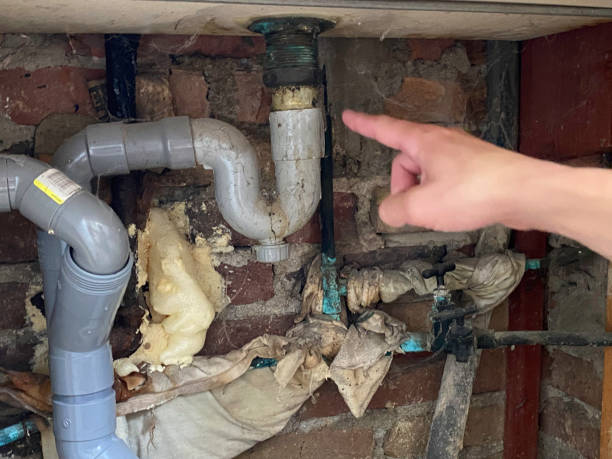 Best Basement water damage restoration  in Harbison Nyon, CA